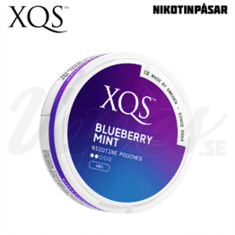 XQS - Blueberry Mint - Slim (4 mg/portion)