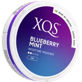 XQS - Blueberry Mint - Slim (4 mg/portion)