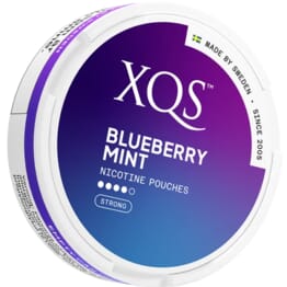XQS - Blueberry Mint Strong - Slim (8 mg/portion)