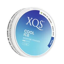 XQS - Cool Ice - Mini (4,2 mg/portion)